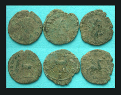 Gallienus Zoo, a Doe, a Doe and a Flying Horse, O My! 3--Pack!